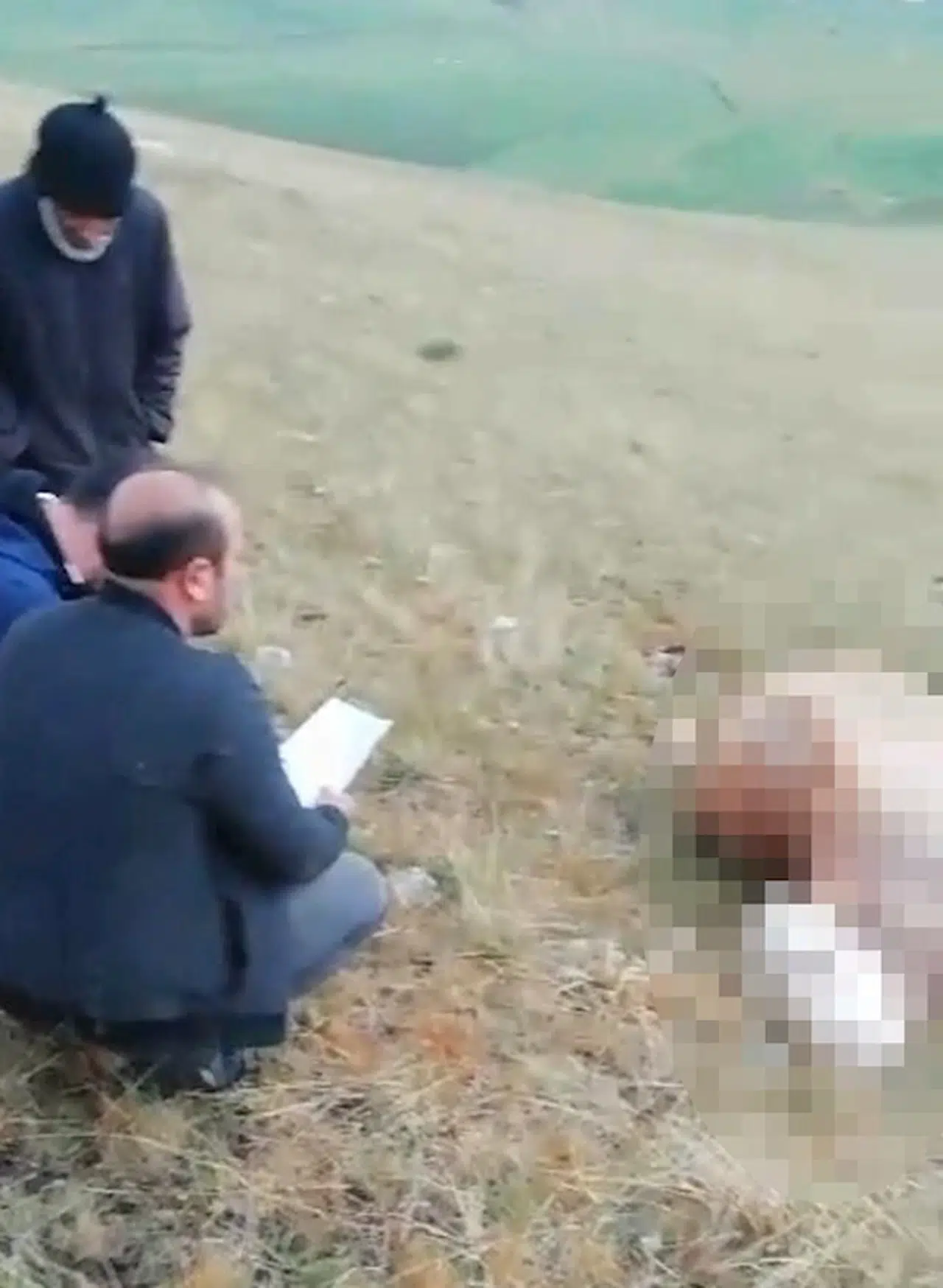 Kars'ta sağanak etkili oldu, sürüye düşen yıldırımda 10 büyükbaş öldü 