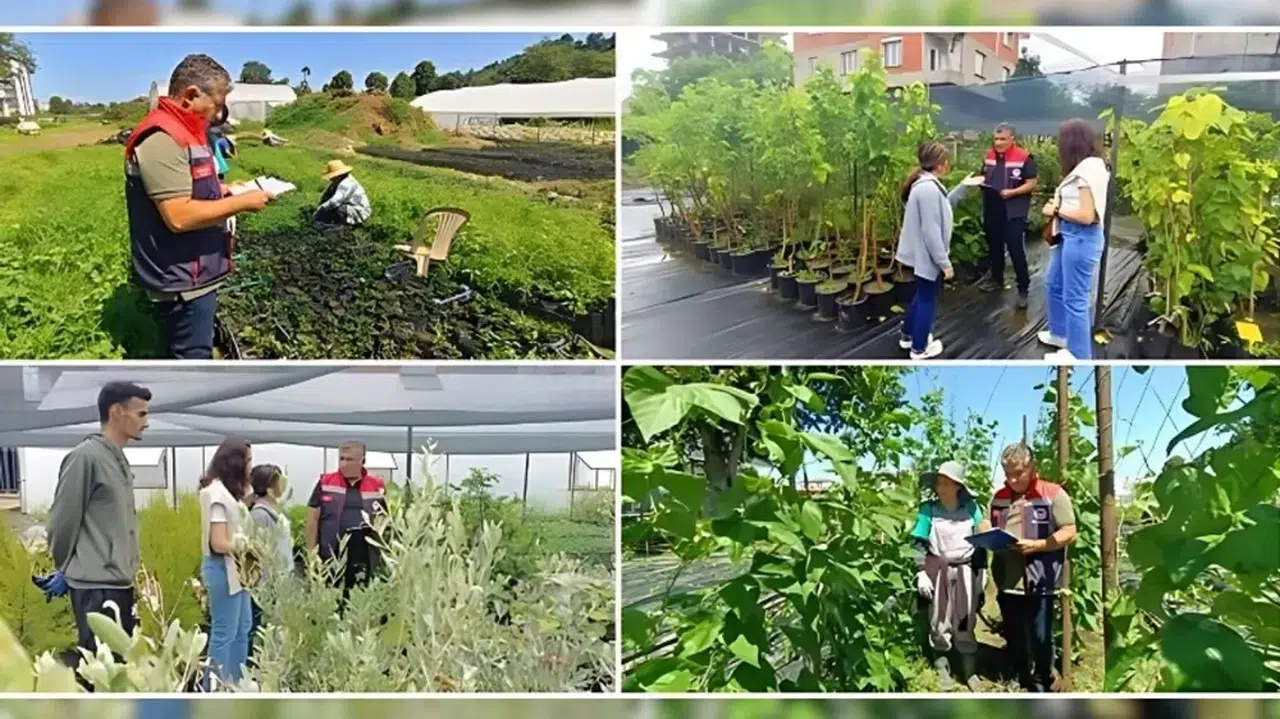 Rize’de Tarım Danışmanları Yerinde Denetleniyor