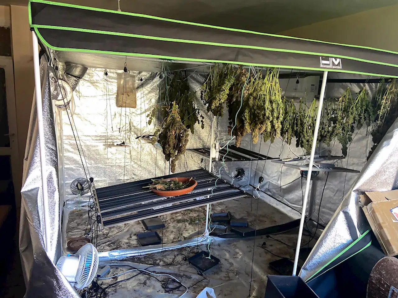 Yangın ihbarına giden itfaiye ve polis, uyuşturucu serası buldu