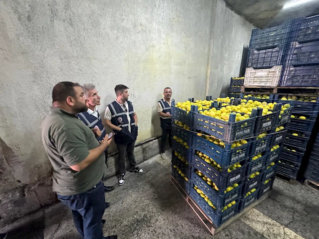 Mersin'de limon depoları denetlendi
