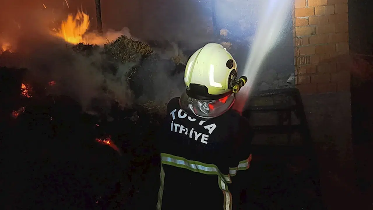  Tosya'da besi çiftliğinde çıkan yangında 600 balya saman kül oldu 