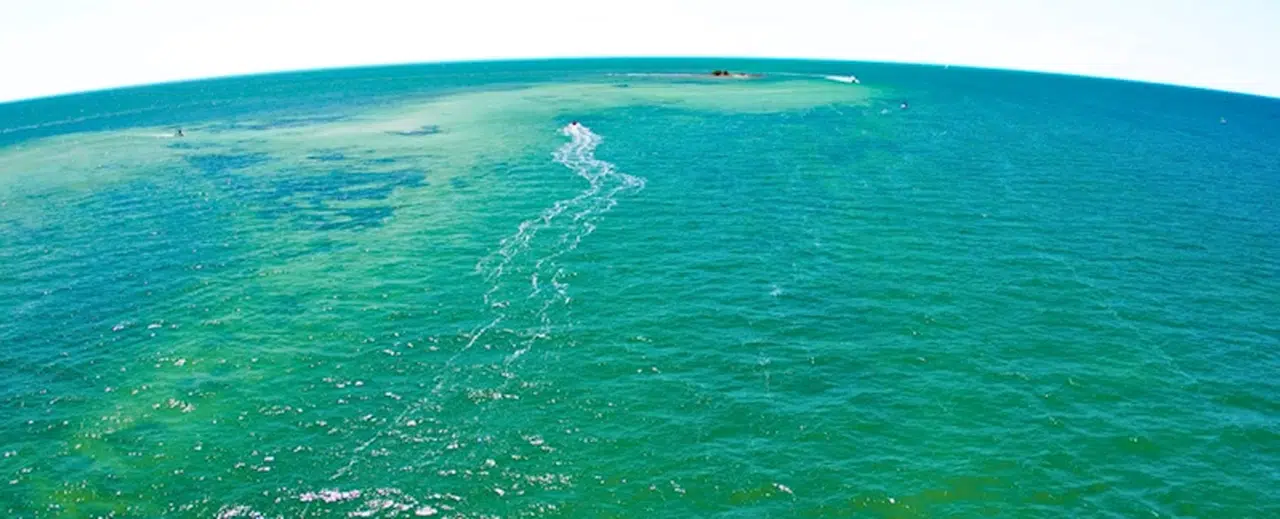 Araştırma: Dünya’nın okyanusları bir zamanlar yeşildi