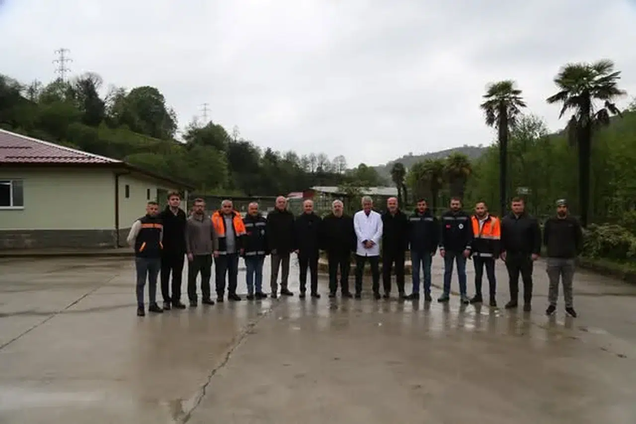 Rize’de Sokak Hayvanları İçin Yeni Proje Köpek Köyleri Geliyor