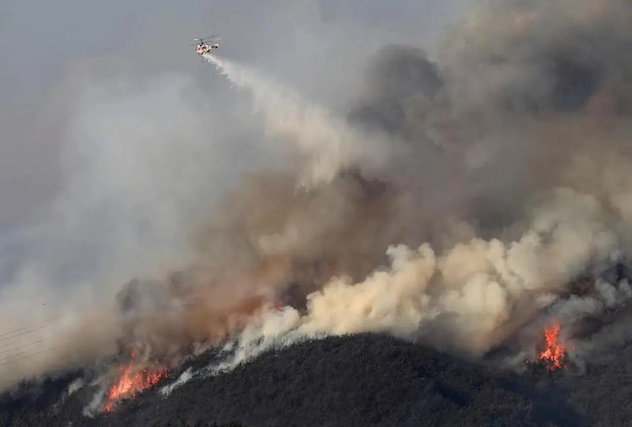 Güney Kore'de orman yangınlarında 104 bin hektar alan zarar gördü