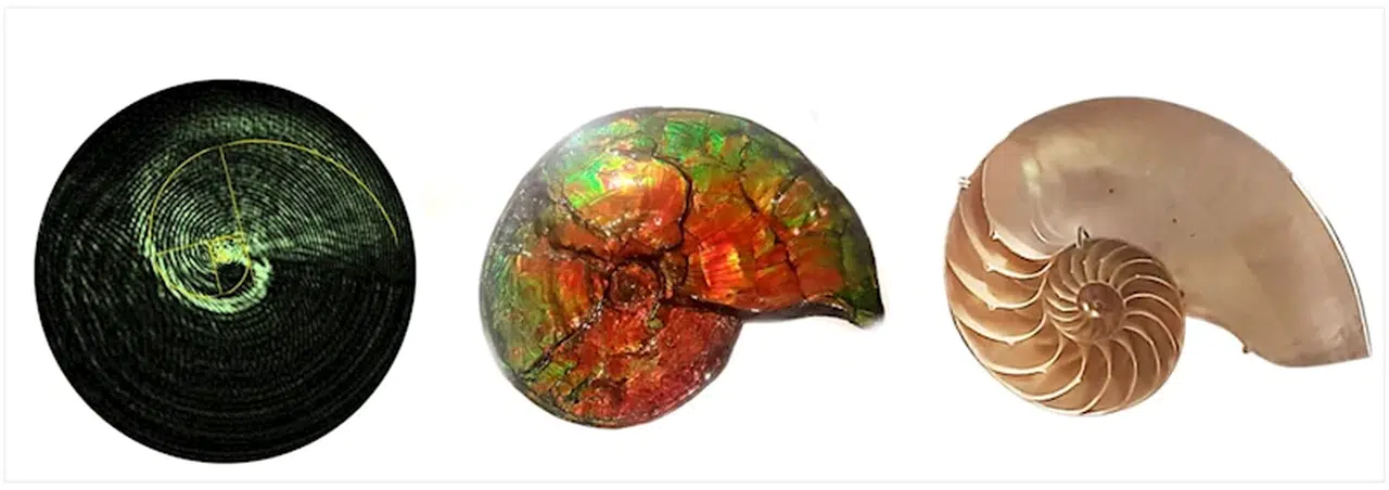 Bilim insanları, ışığın 'optik rotatum' adlı yeni yapısını keşfetti