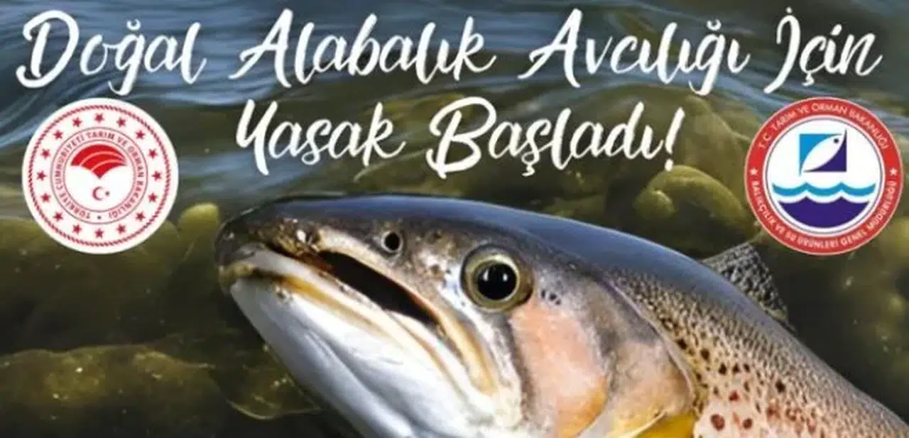 Rize'de Hemşin Deresi'nde doğal alabalık avcılığı 1 Ekim'den itibaren yasaklandı