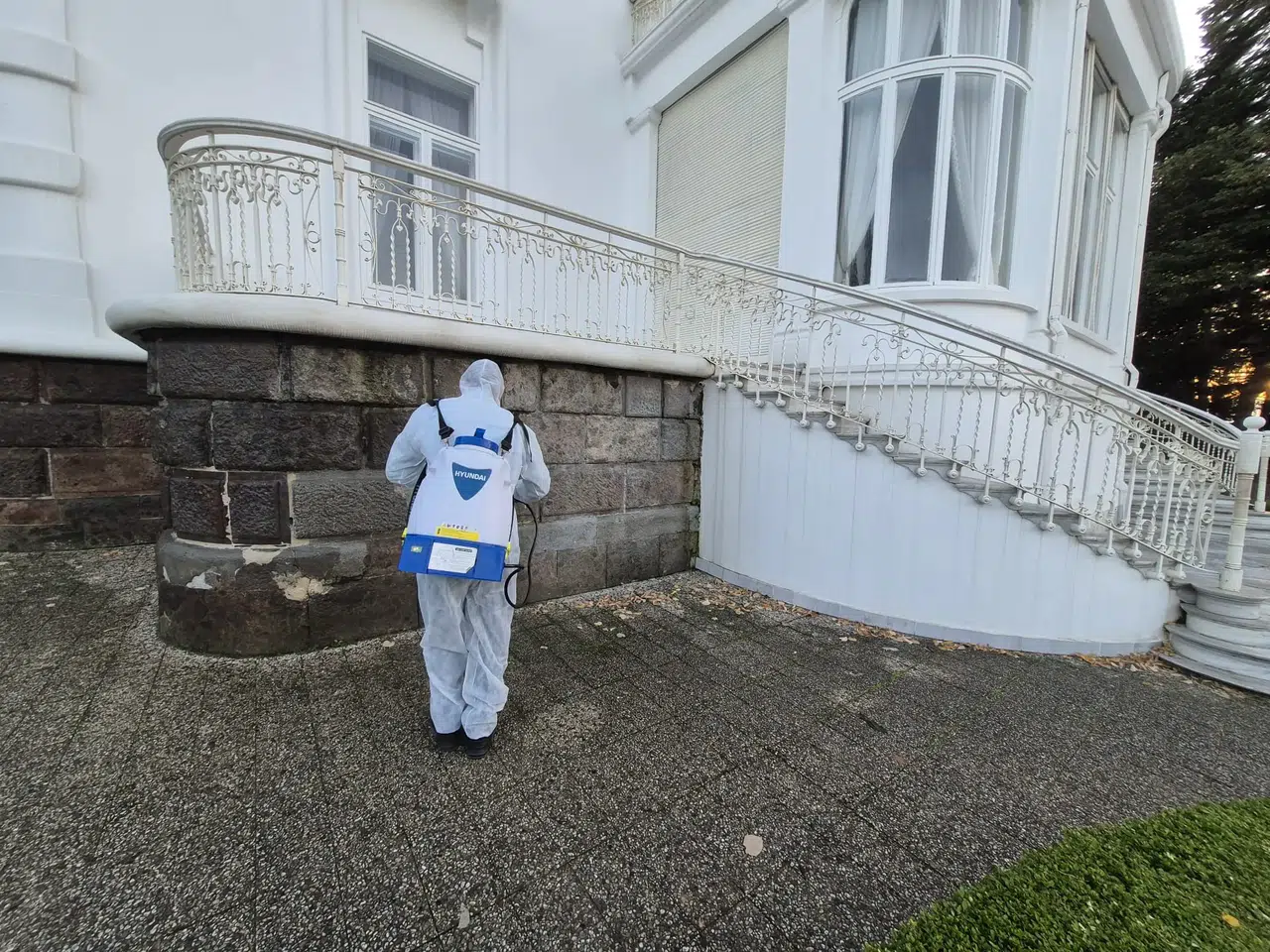 Trabzon'da kahverengi kokarca tehdidine karşı ilaçlama çalışmaları başlatıldı