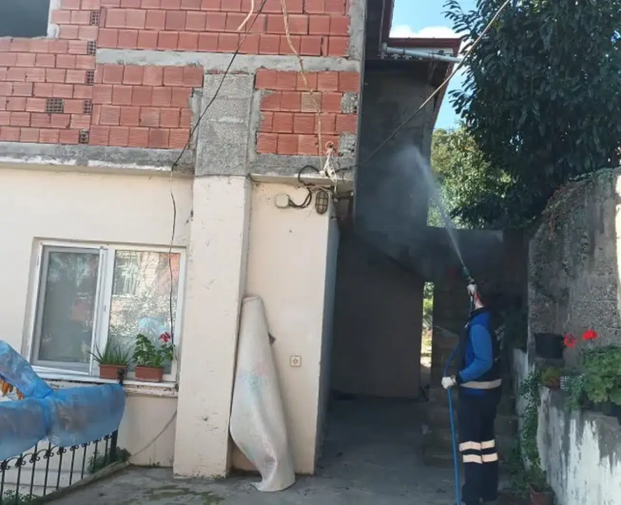 Trabzon'da Kahverengi Kokarca ile Mücadele İçin İlaçlama Çalışmaları Başladı