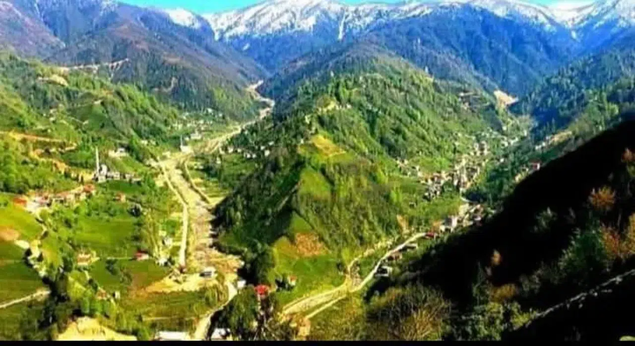 Ceyhun Kalender: Taşlıdere ve Kale Dereleri Sonsuza Kadar Özgür Akacak