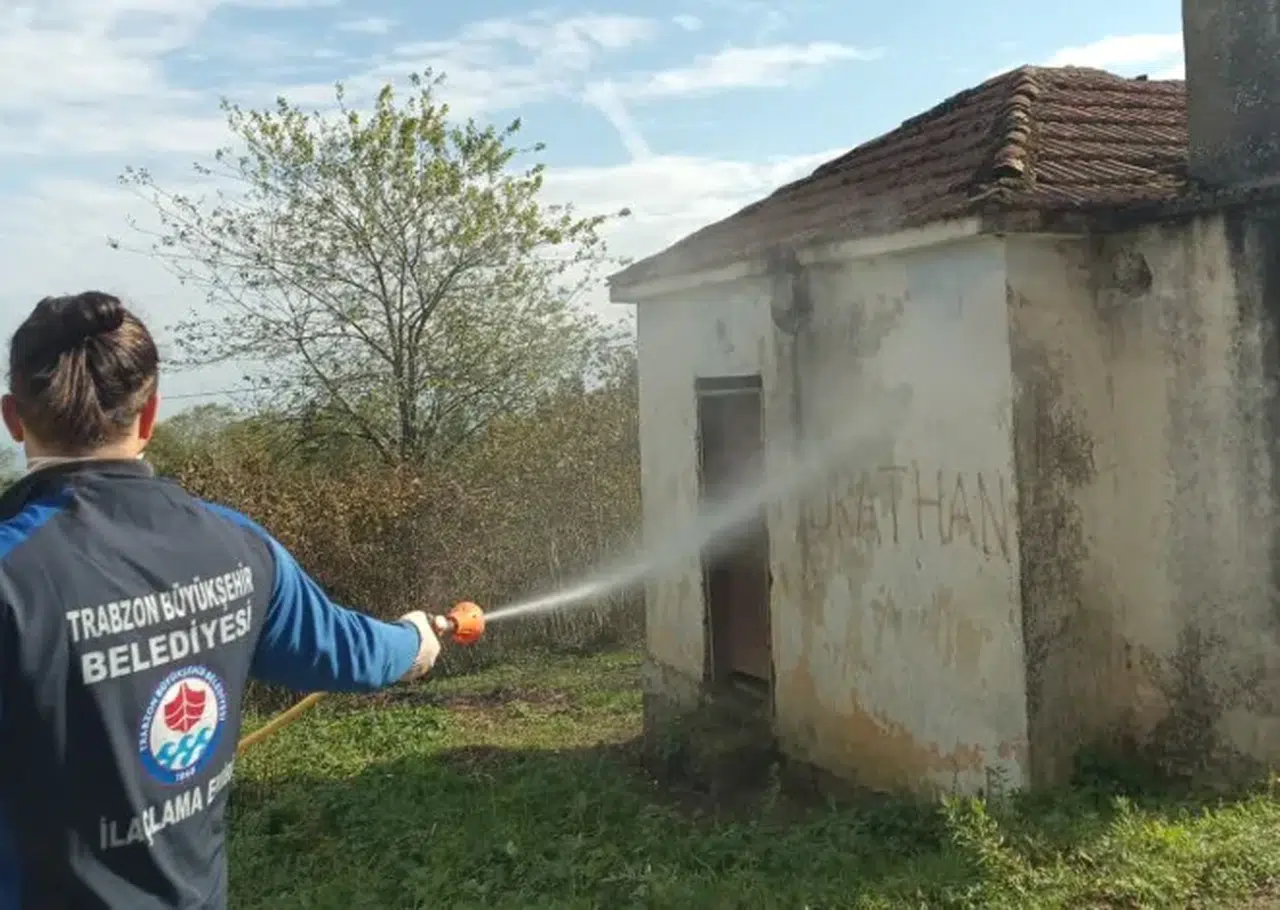 Trabzon'da kokarca mücadelesi hız kesmeden sürüyor, vatandaşlar bilinçli olmaya davet edildi