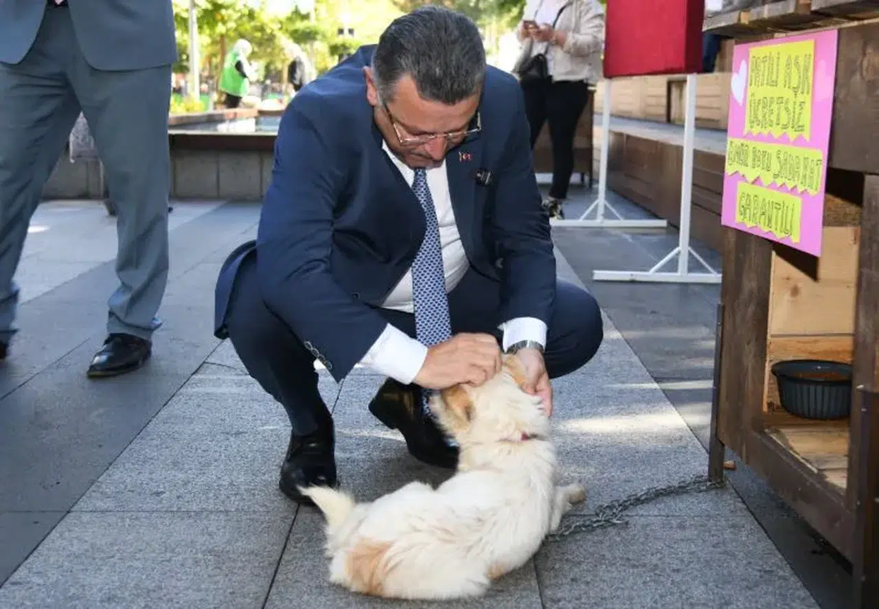 Trabzon’da 4 Ekim Dünya Hayvanları Koruma Günü Etkinliği: Satın Alma, Sahiplen Çağrısı