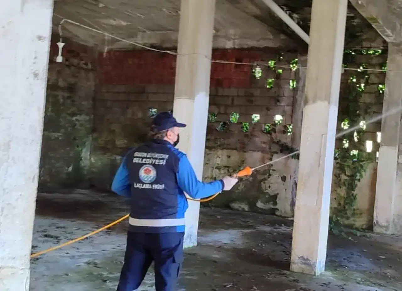 Sürmene'de Tarımsal Verimlilik İçin Kışlak İlaçlama Çalışmaları Devam Ediyor