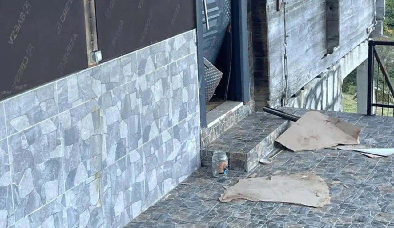 Rize’de Ayı Dehşeti: Yaylalarda Halk Alarmda, Yetkililerden Acil Müdahale Bekleniyor