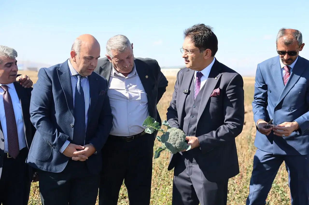 Erzurum'da boş tarlar brokoliyle yeniden hayat buluyor, çiftçilere yeni gelir kapısı açılıyor