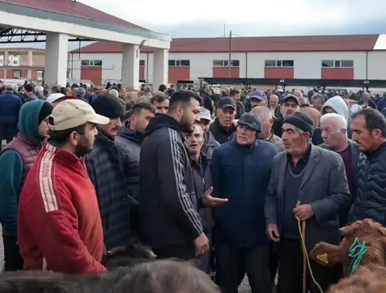Bayburt'ta Canlı Hayvan Pazarı yeniden açıldı, hijyen ve güvenlik önlemleriyle hizmete başladı