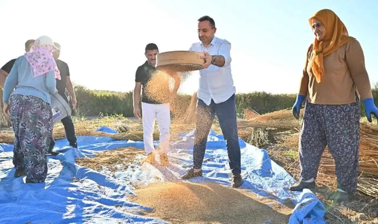 Manavgat'ın Altın Susamı'dünya pazarında dikkat çekiyor, coğrafi işaret tescili ile talep artıyor