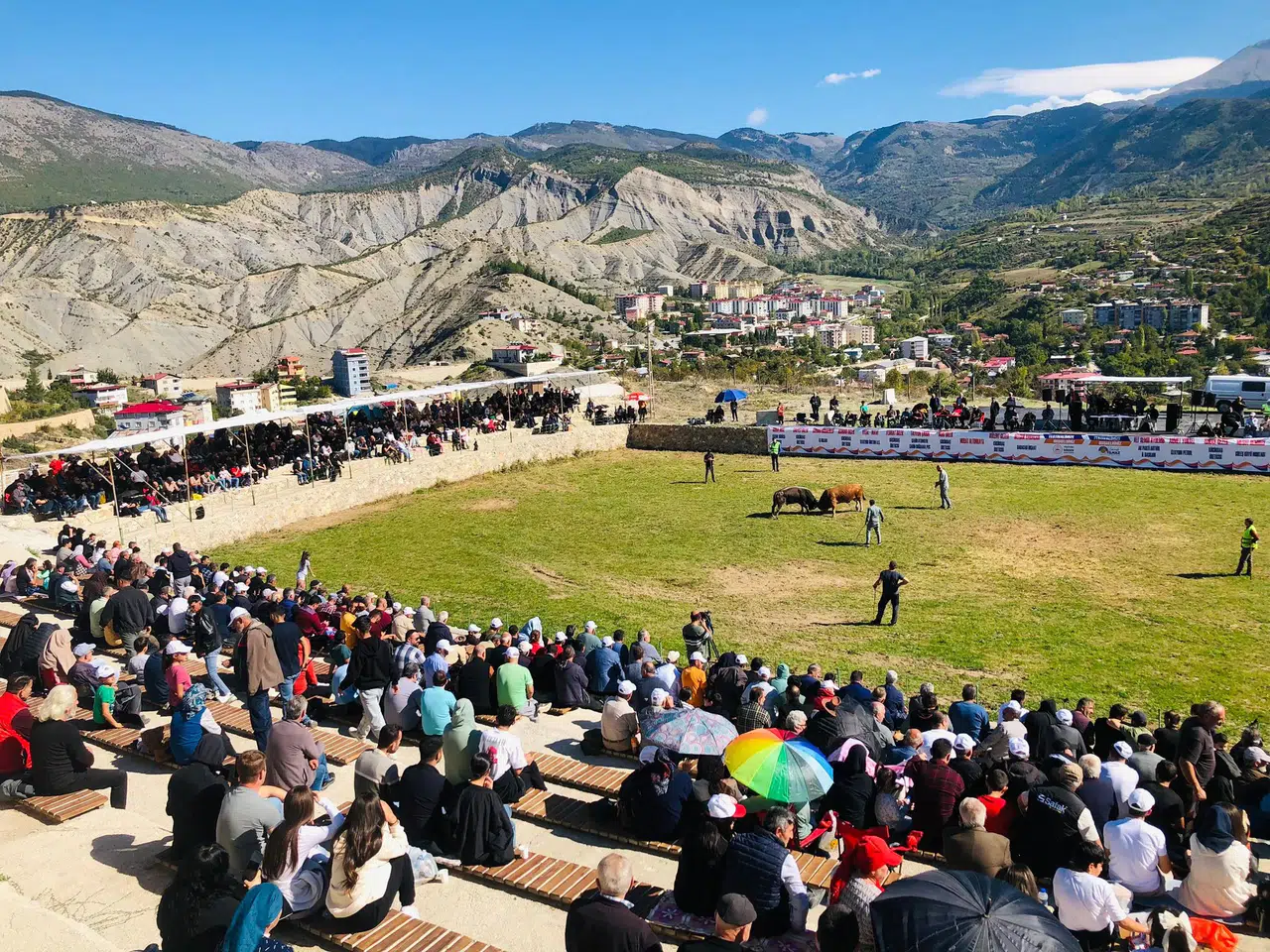 Ardanuç’ta Arena Boğa Güreşleri Festivali Coşkuyla Gerçekleşti