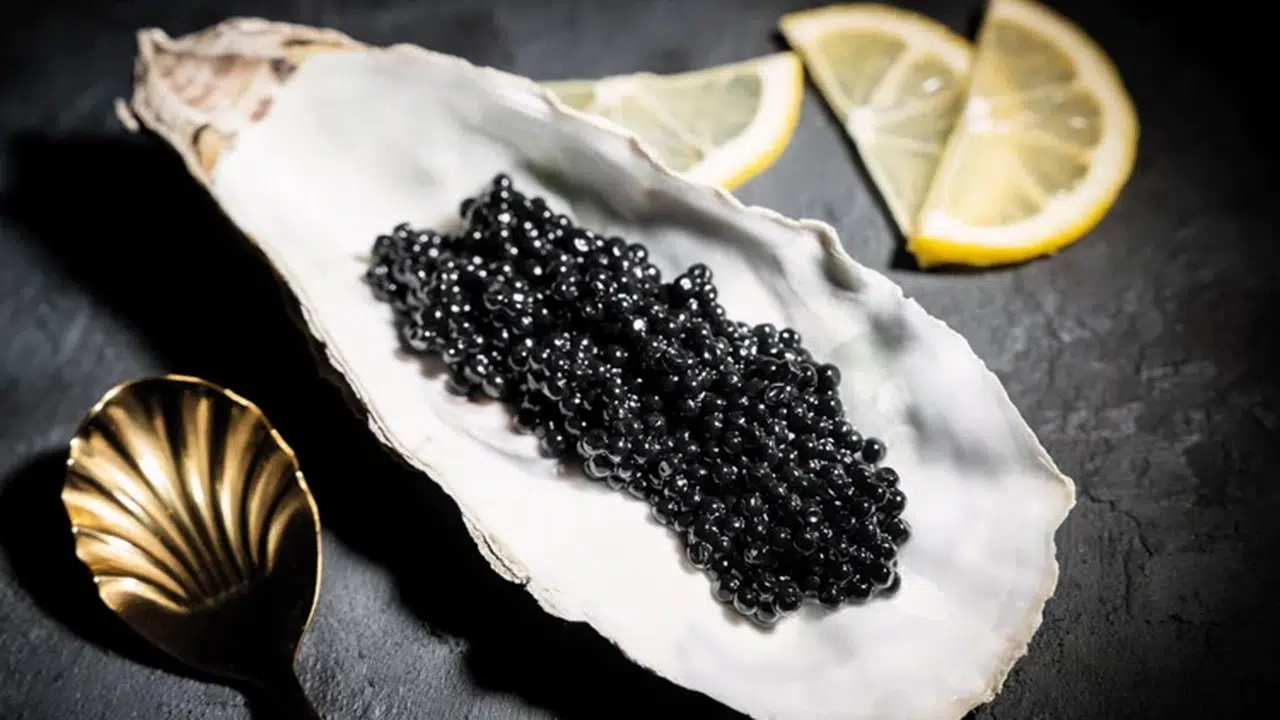 Türkiye, Rize’den siyah havyar pazarına giriş yapıyor!