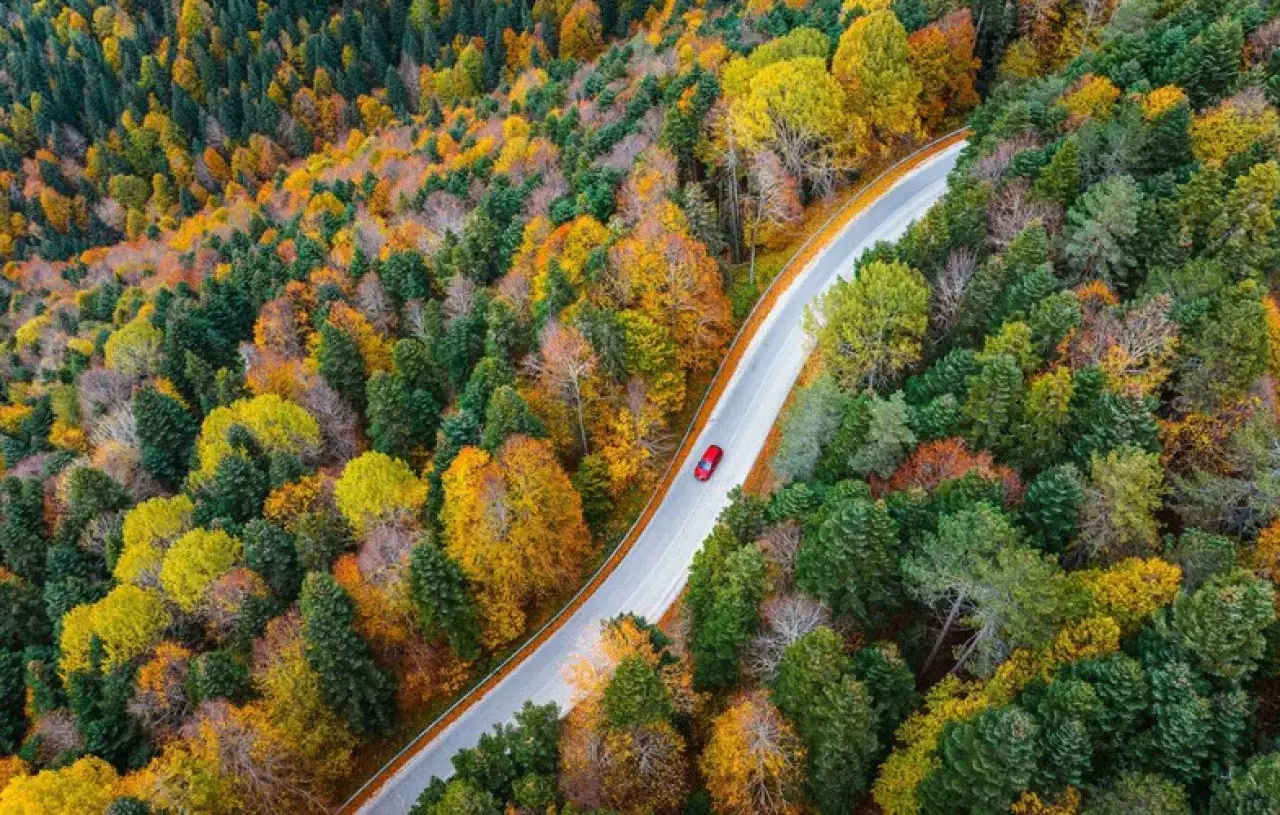 Ekim 2025: Ekim Ayına Dair En Etkileyici Sözler ve Mesajlar