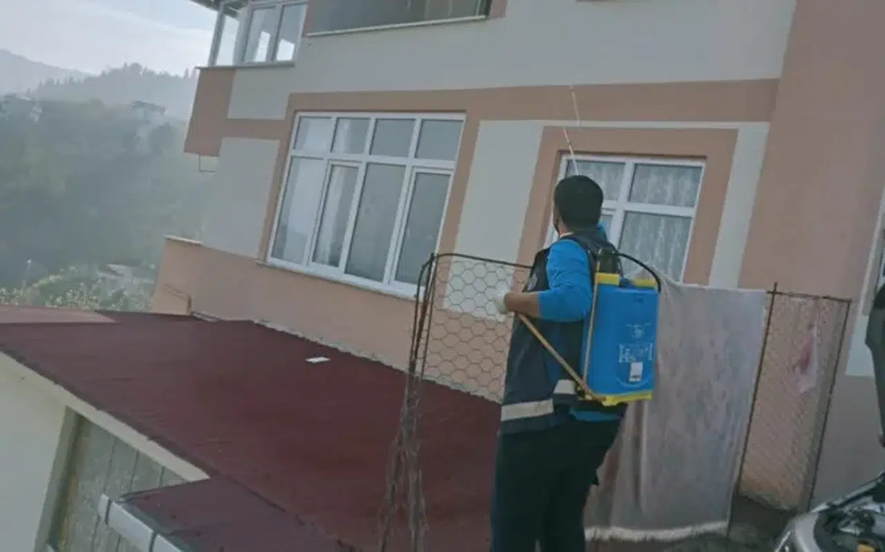 Trabzon'da kahverengi kokarca ile mücadelede kış ilaçlama çalışmaları hız kesmeden devam ediyor