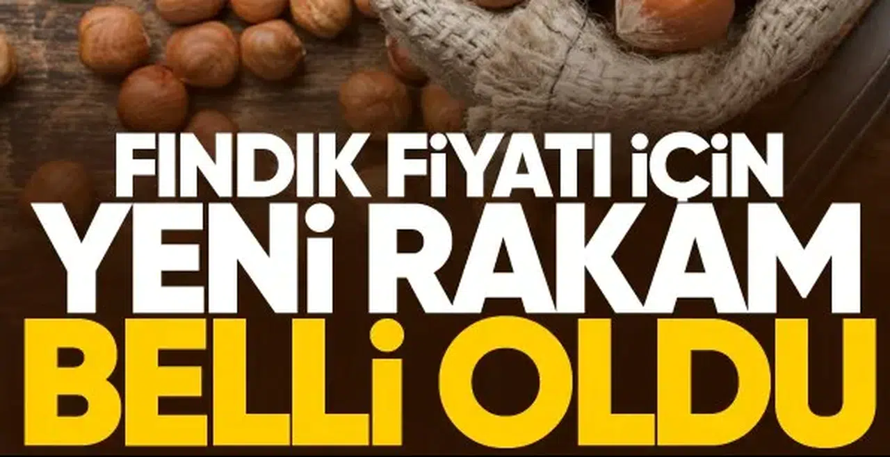 Fındık fiyatı için yeni tahmin belli oldu!