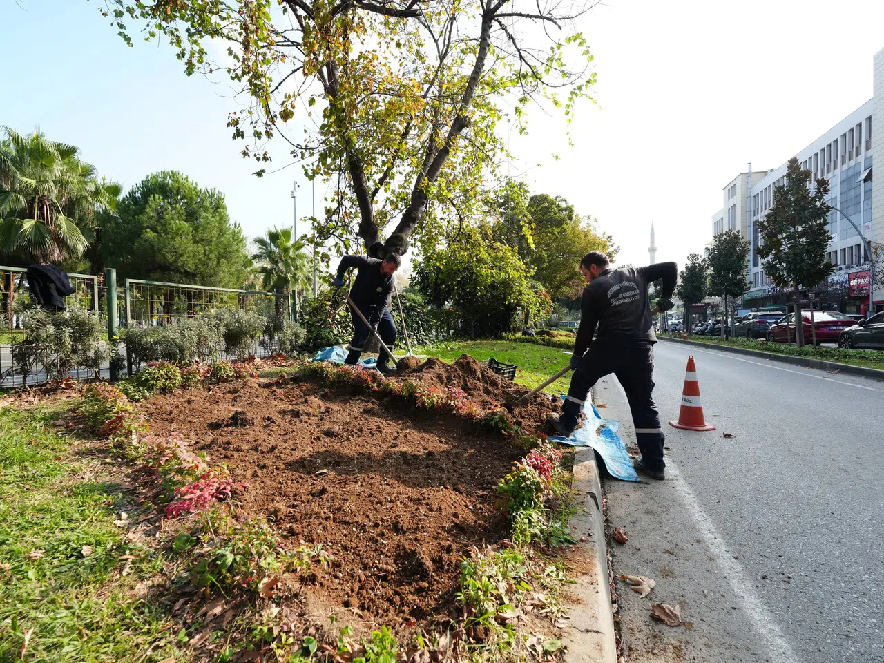 Akçaabat, Çiçek Dikimi ile Yeşil Alanlarını Güzelleştiriyor ve Halkı Desteklemeye Çağırıyor