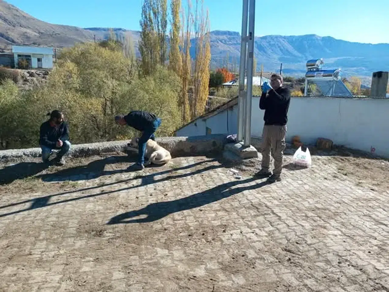 Olur'da sahipsiz sokak hayvanları için iyileştirme çalışmaları başlatıldı