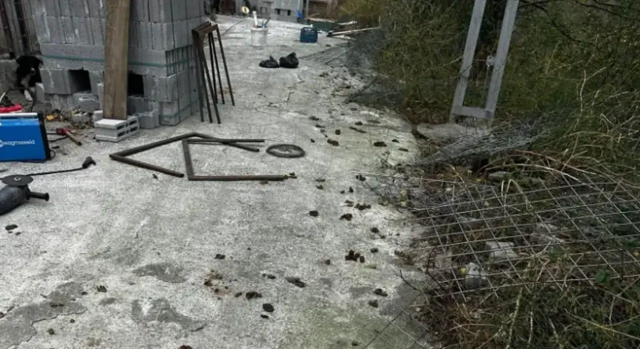 Hopa’da Hayvanseverlerden Sert Tepki: “Bu Koşullar Kabul Edilemez”