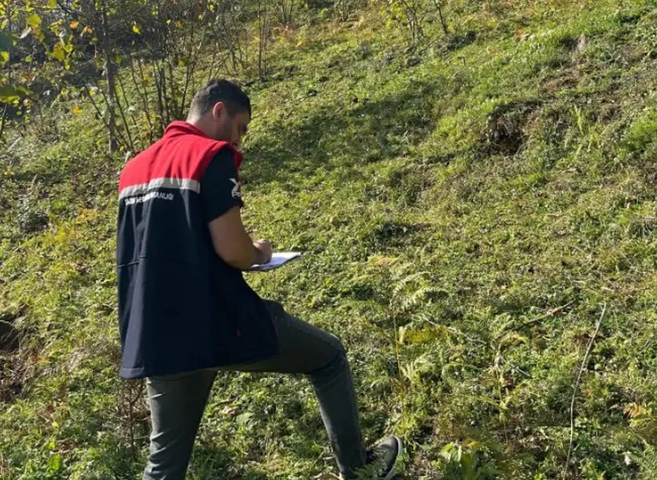 Şalpazarı'nda Fındık Arazilerine Hastalık Tespiti İçin Denetimler Başladı