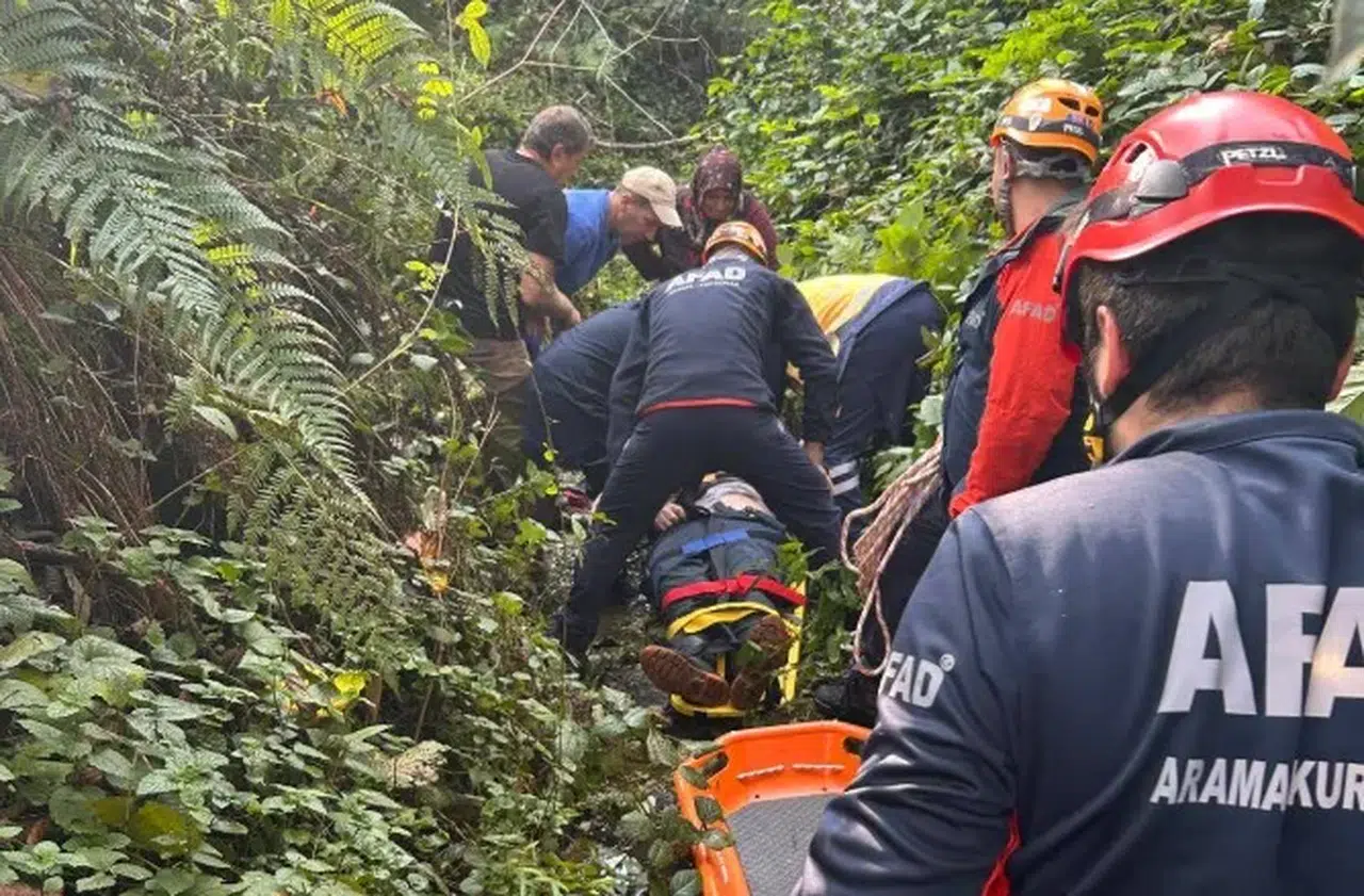 Rize'de ağaç keserken üzerine ağaç düşen vatandaş kurtarıldı
