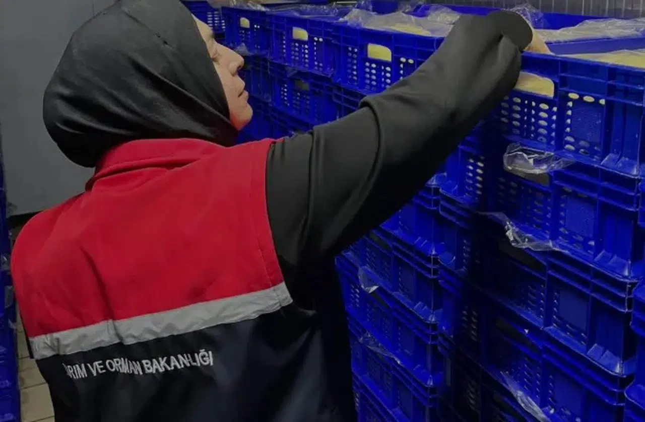 Gıda Güvenliği İçin Denetimler Aralıksız Sürüyor