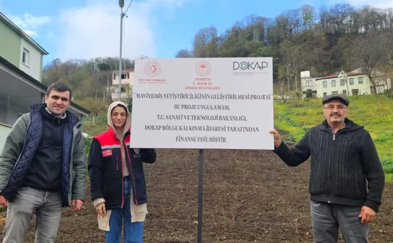 Trabzon'da Maviyemiş Yetiştiriciliği İçin Proje İncelemeleri Yapıldı