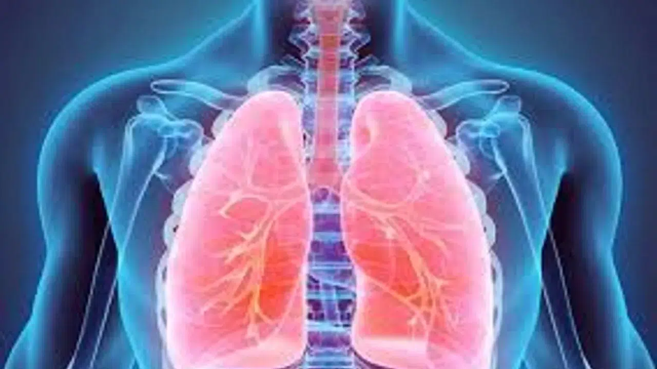 3 Gün Süren Ateş ve Nefes Darlığına Dikkat: Zatürre Belirtisi Olabilir