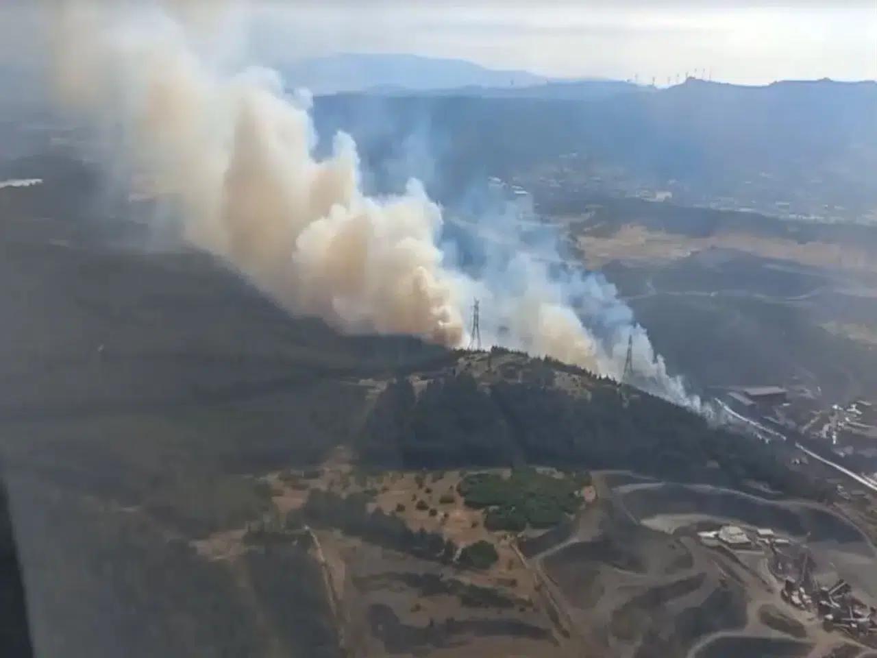 Aliağa'da Orman Yangını: Havadan ve Karadan Müdahale Devam Ediyor