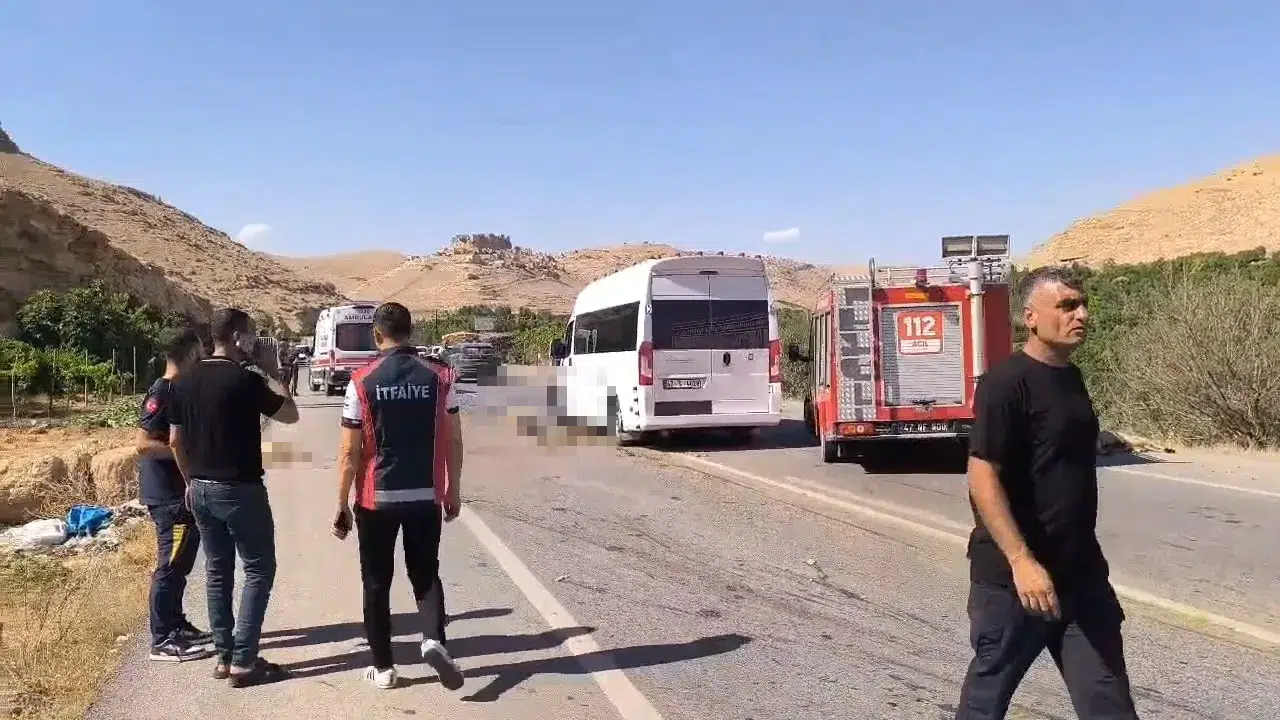 Nusaybin'de minibüs sürüsüne çarptı, 13 küçükbaş yağmurda hayatını kaybetti!