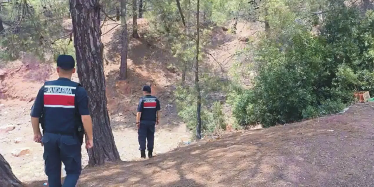 Osmaniye'de orman yangınlarına karşı sıkı tedbirler: Girişler yasaklandı, ateş yakmak yasak!