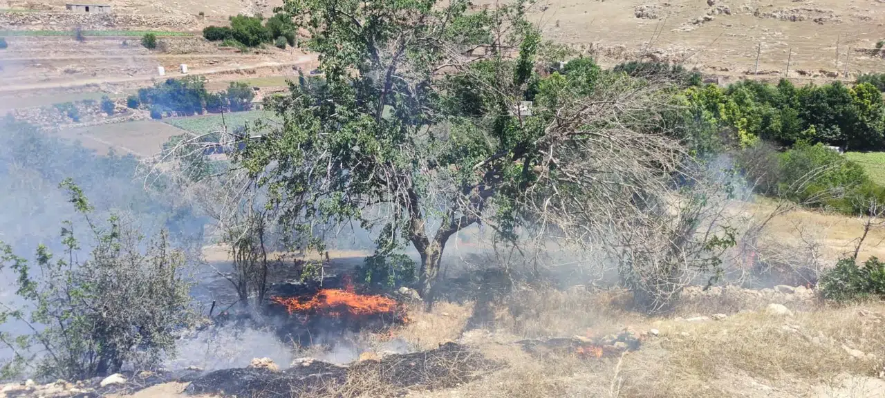 Kızıltepe'de bahçede çıkan yangın meyve ağaçlarına zarar verdi, nedeni araştırılıyor
