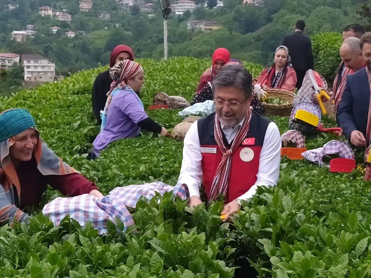 Tarım ve Orman Bakanı Yumaklı: Çayda Korktuğumuz Olmadı, Fiyat Üreticiyi Memnun Etti