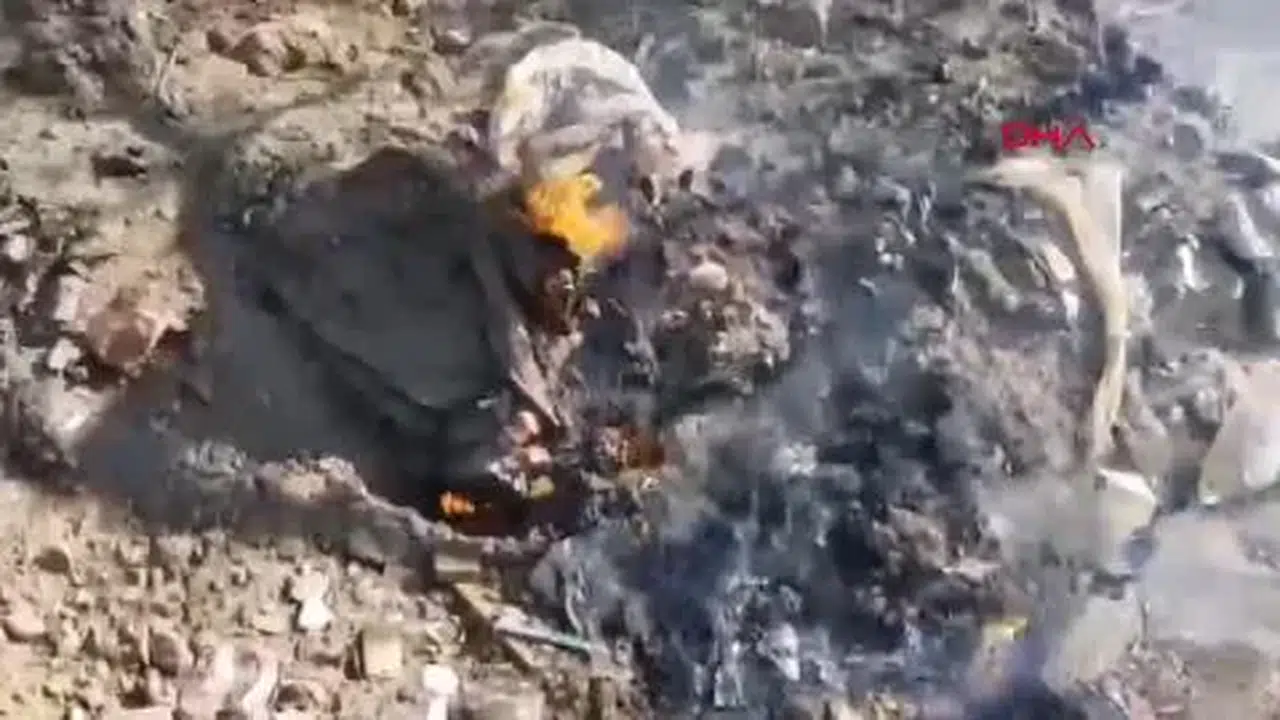 Edremit'te çöp alanında başlayan yangın, tarım arazisine sıçramadan söndürüldü