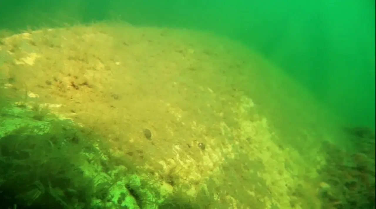 53 yıl sonra yeniden görüntülenen Sapanca Gölü'ndeki uçak enkazı, unutulmuş kazaları hatırlatıyor