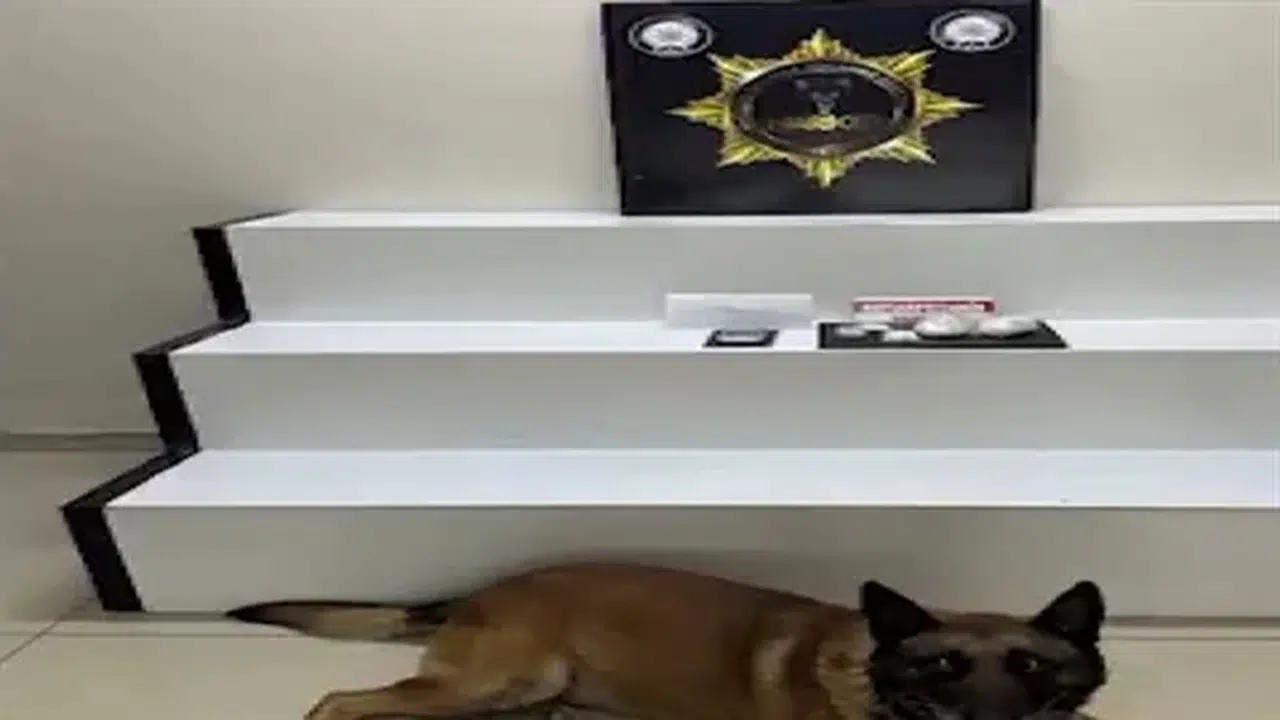 Burhaniye'de uyuşturucu operasyonu: 238 gram metamfetamin ve 3 gözaltı