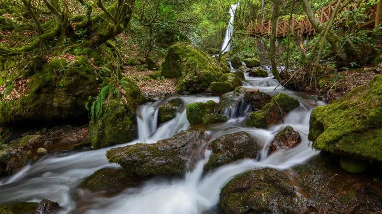Kaçış Noktası: Kaynaşlı'nın Saklı Cenneti Keşfedilmeyi Bekliyor!