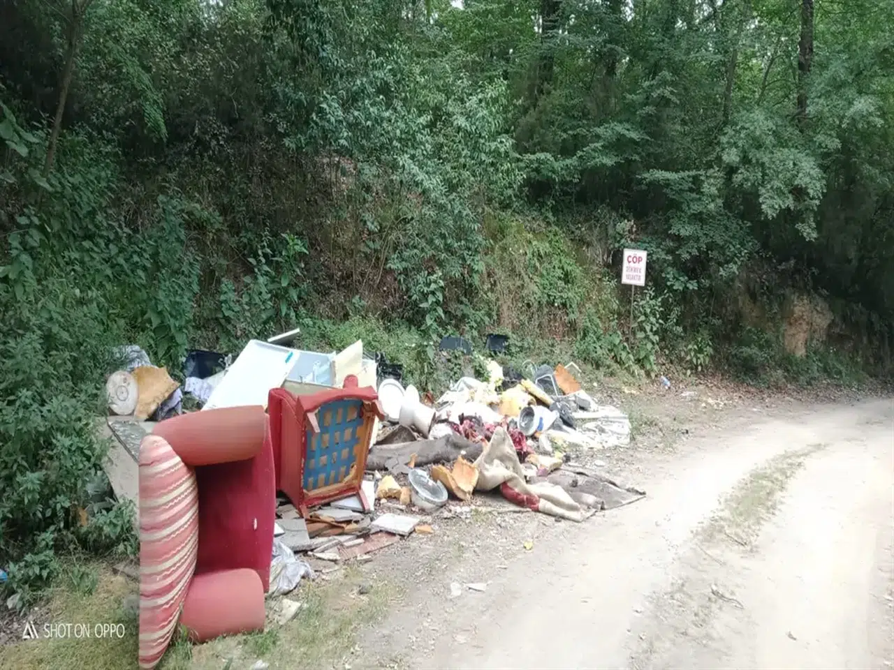 Arifiye'de Kurban Atıkları Ormanı Kirletti, Halk Çözüm İstiyor