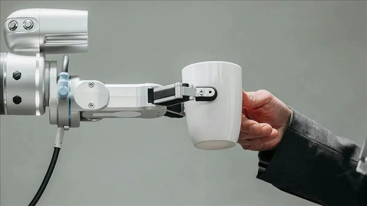 Geleneksel Meslekler Teknolojik İlerlemenin ve Yeşil Dönüşümün Pençesinde Yok Olma Tehlikesiyle Karşı Karşıya