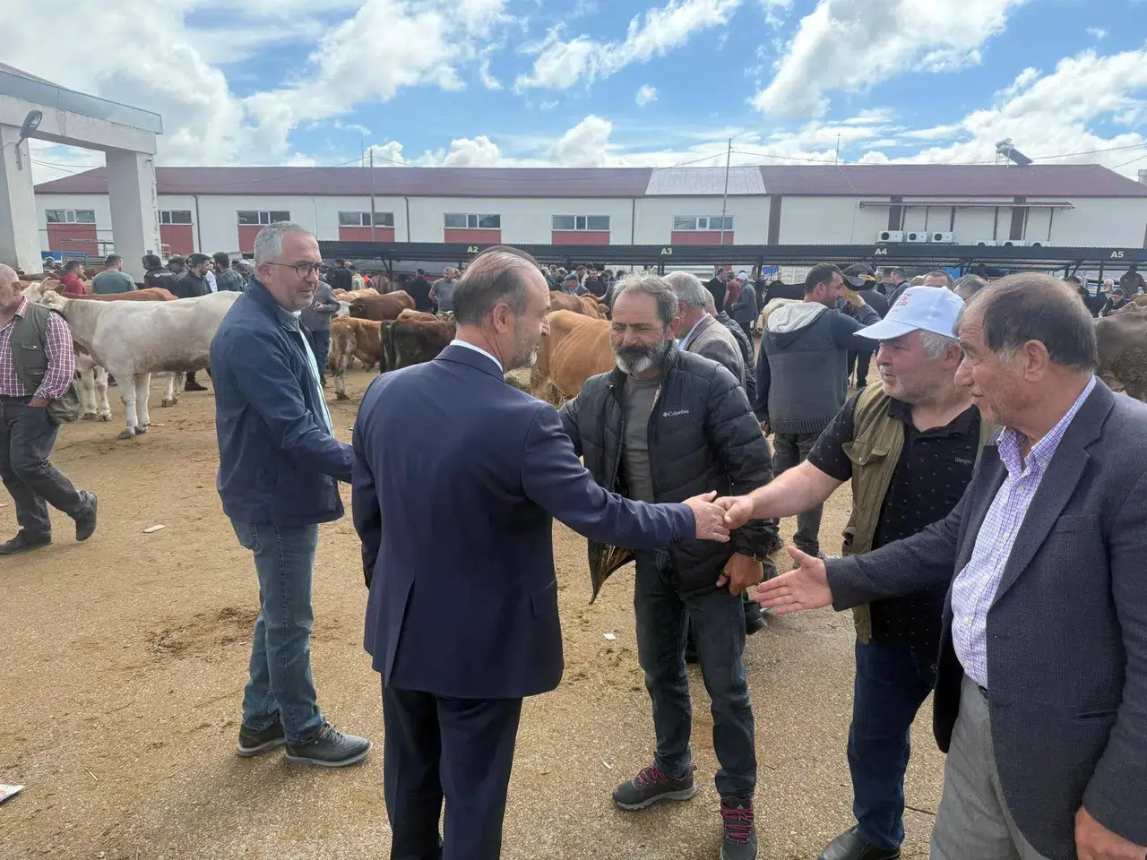 Bayburt'ta Kurban Bayramı öncesi canlı hayvan pazarında yoğunluk arttı