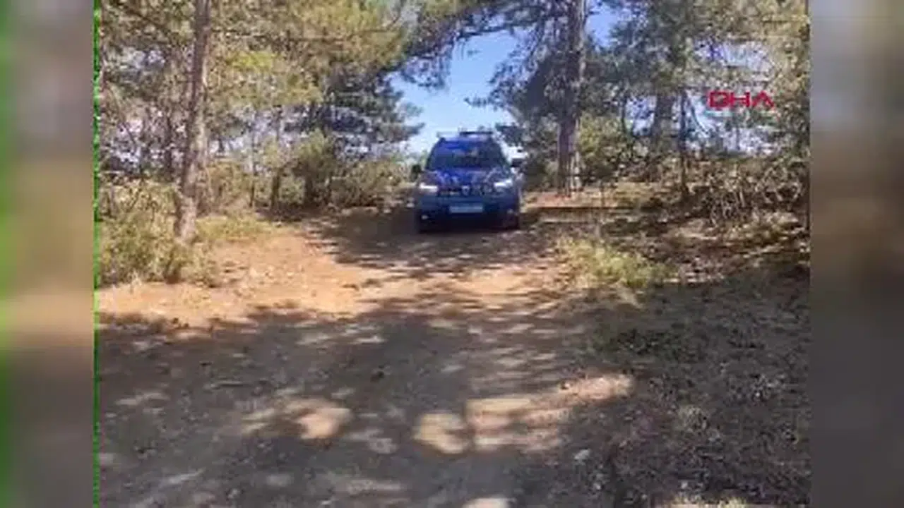 Ankara'da Dronla Yangın Denetimi Başlatıldı