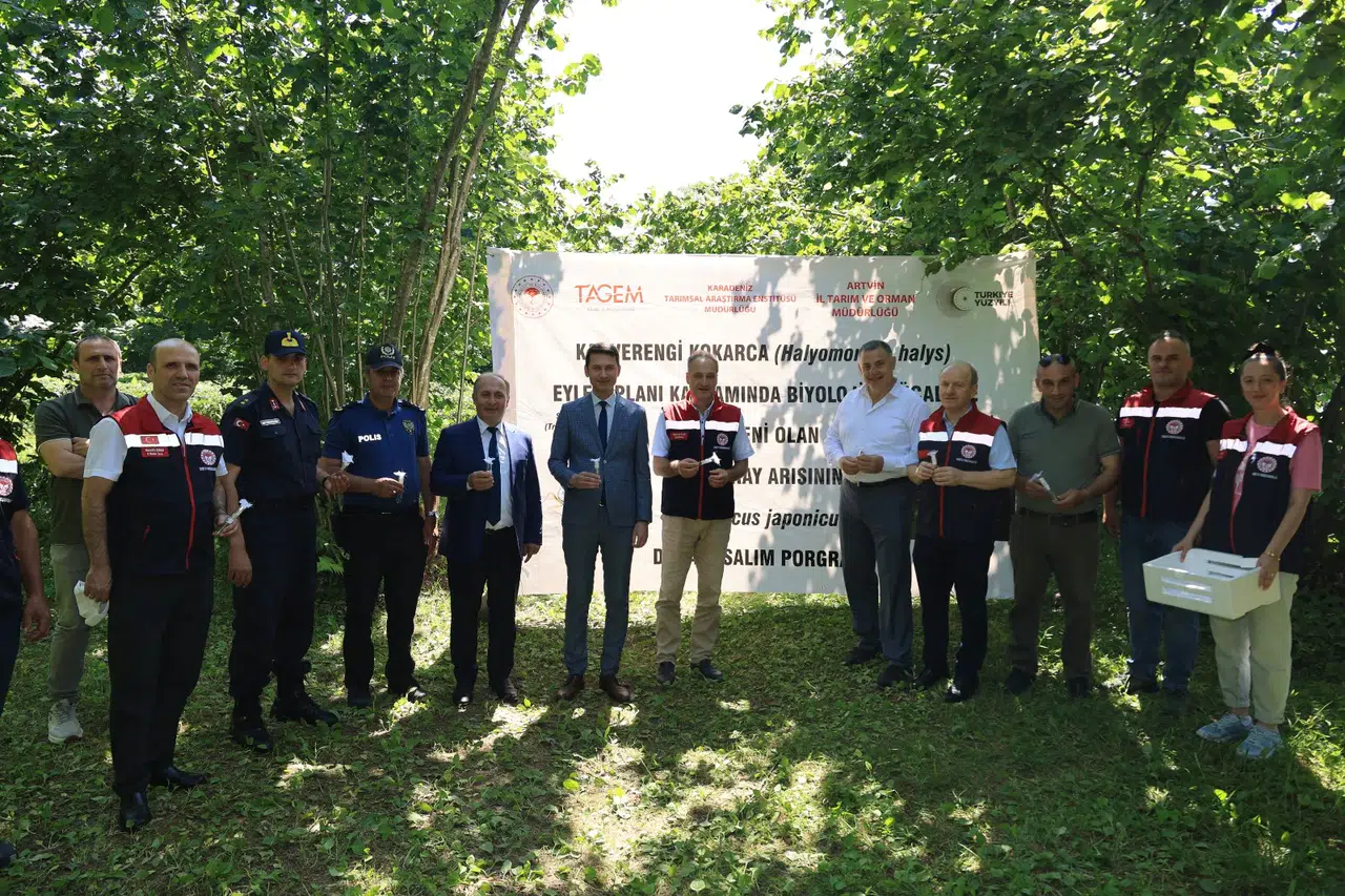 Kahverengi Kokarca ile Mücadelede Samuray Arısı Salımı Başladı