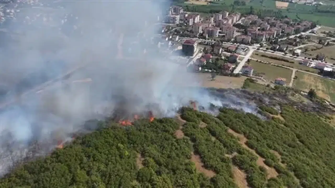 Niksar'da çıkan maki yangınında 15 dönüm alan kül oldu, müdahale 1,5 saat sürdü