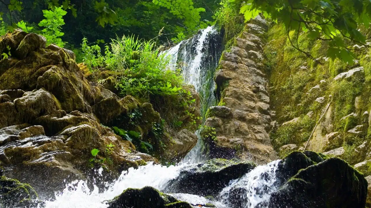 Doğanın Kucaklayıcı Güzellikleri: Bozkurt'ta Keşfe Çıkın!