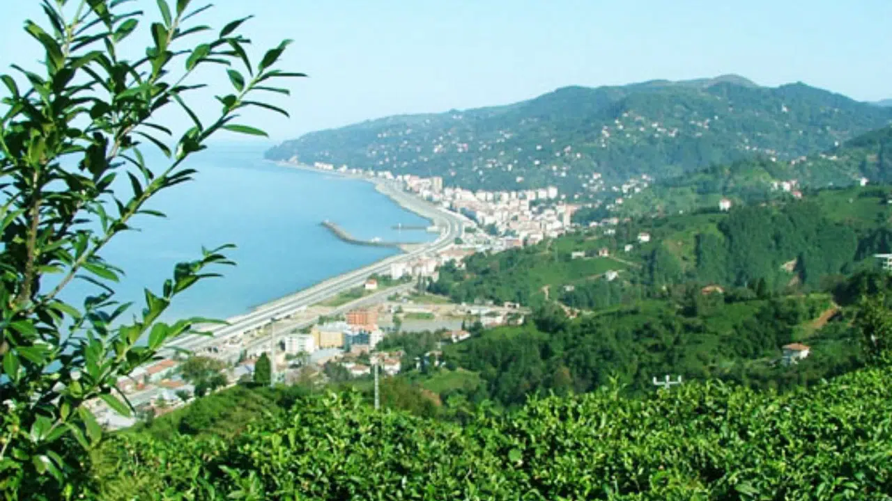 Çayeli'nde Keşfedilecek Doğa Harikaları: Yeni Rotalar Sizleri Bekliyor!